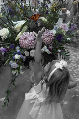 Classic photojournalistic shot of the flowergirl reaching for a butterfly.